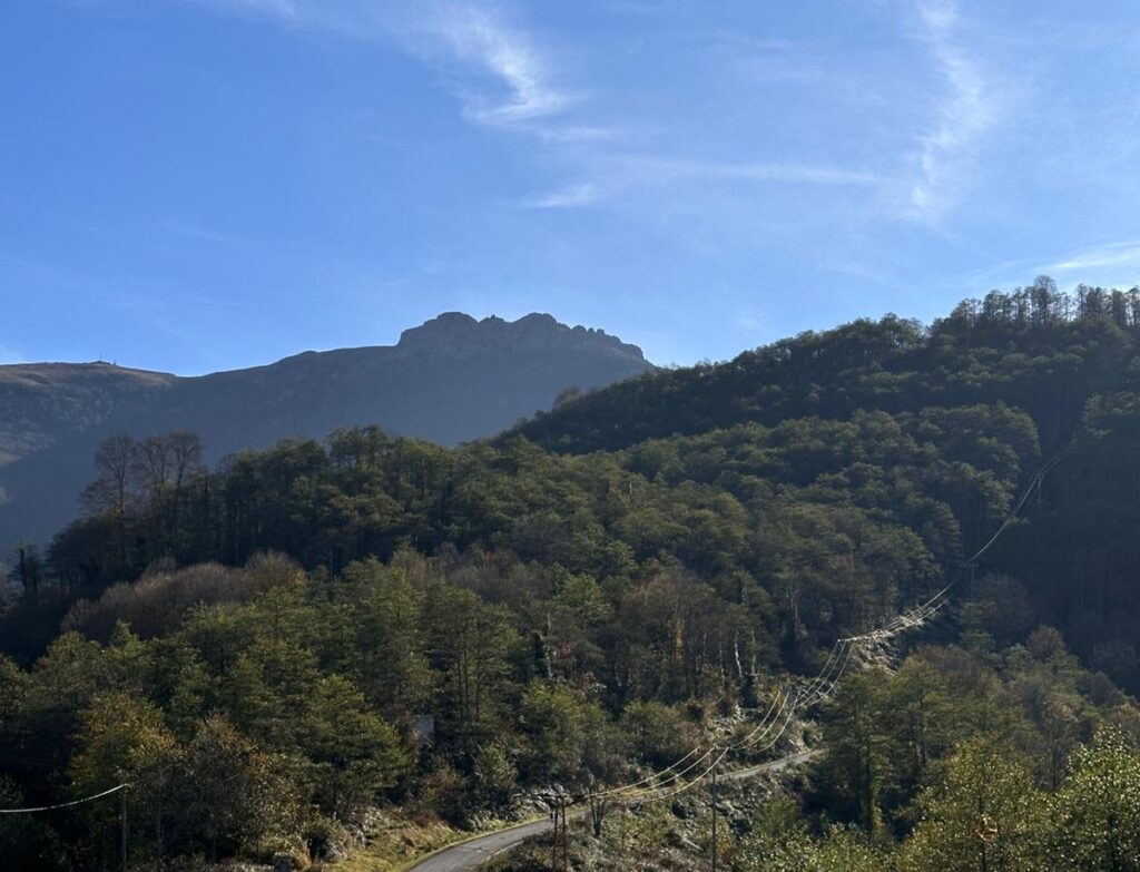 whatsapp image 2025 12 07 at 20.41.21 (3)