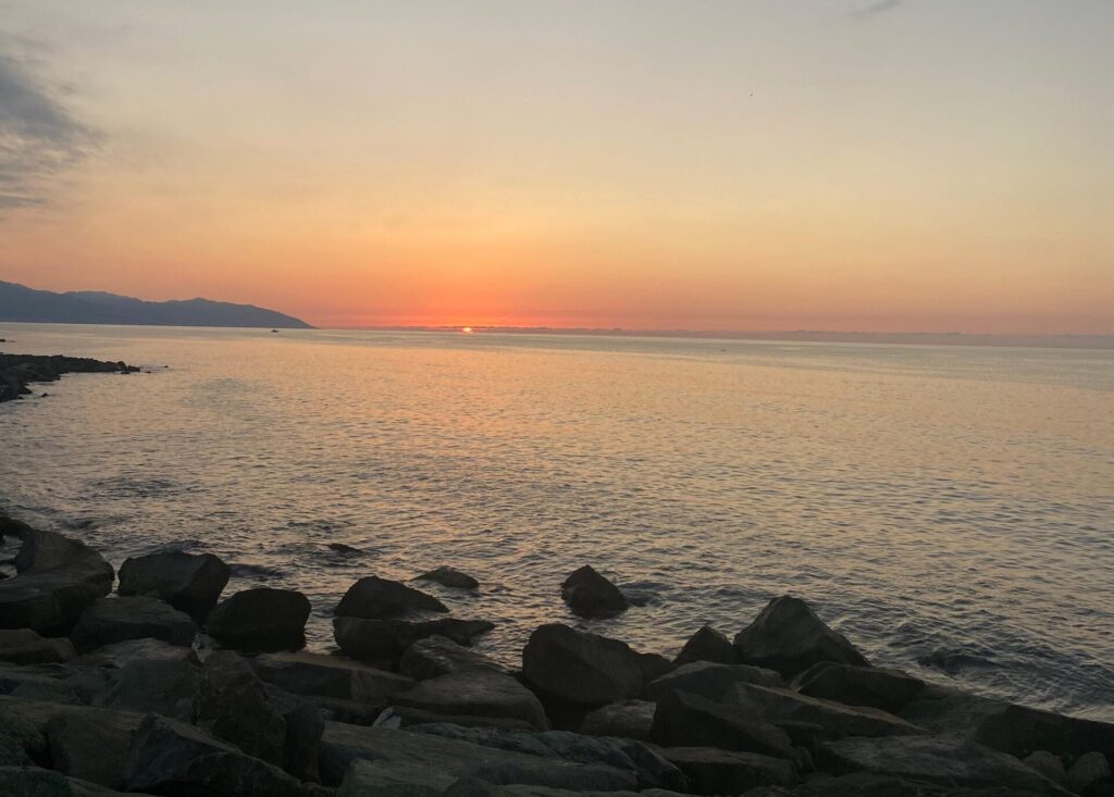 whatsapp image 2025 12 12 at 16.03.27