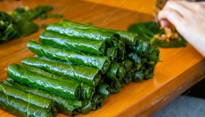 whatsapp image 2025 12 15 at 15.54.20